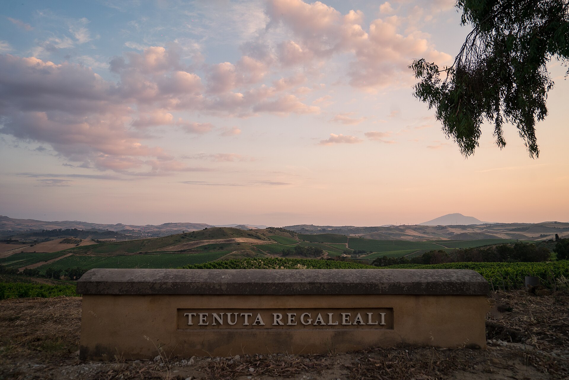 Regaleali