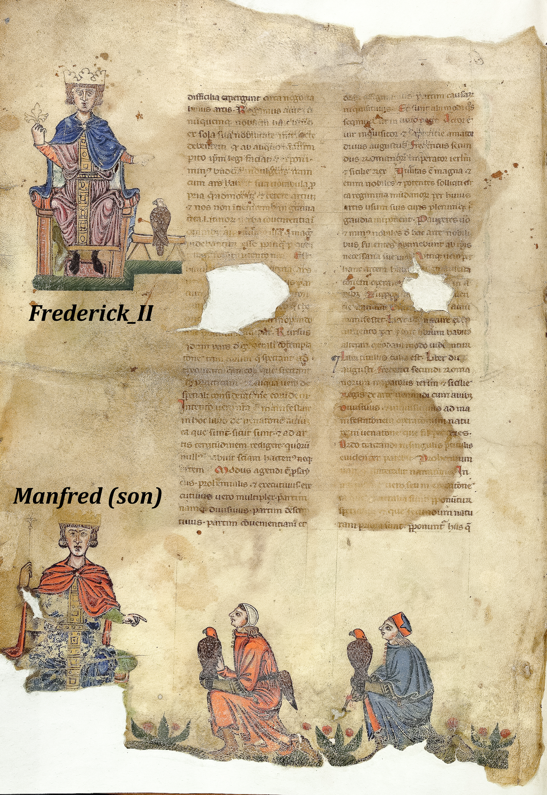 Federico II, Stupor Mundi
